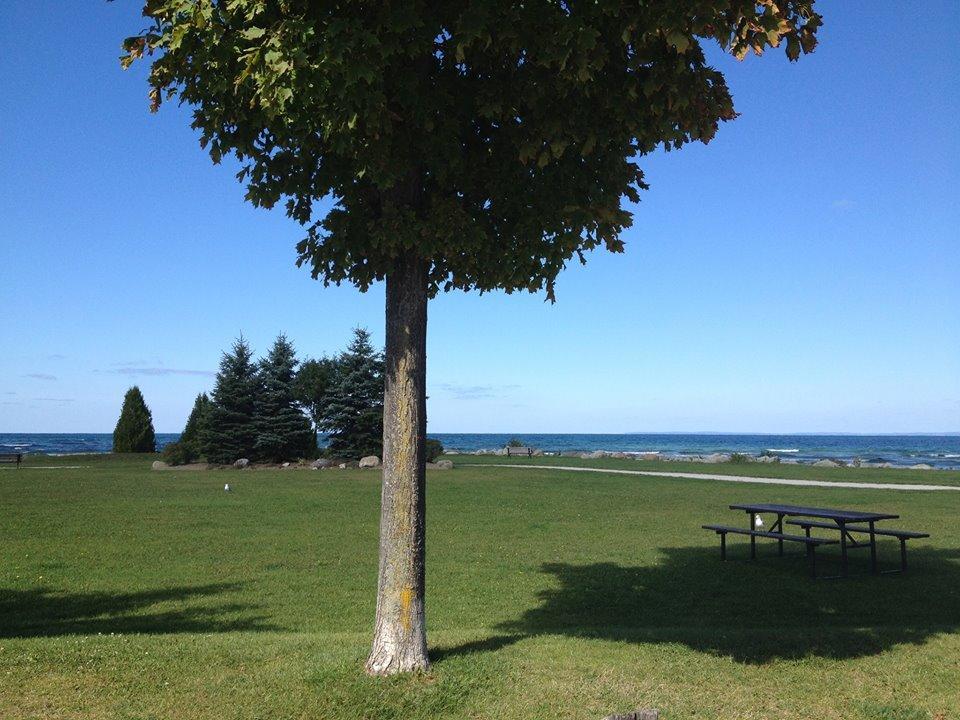 The Glen Huron Inn Duntroon Bagian luar foto