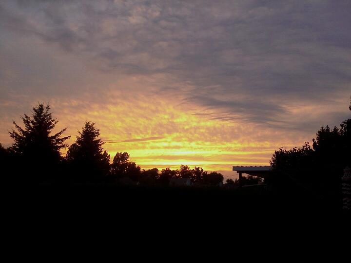 The Glen Huron Inn Duntroon Bagian luar foto